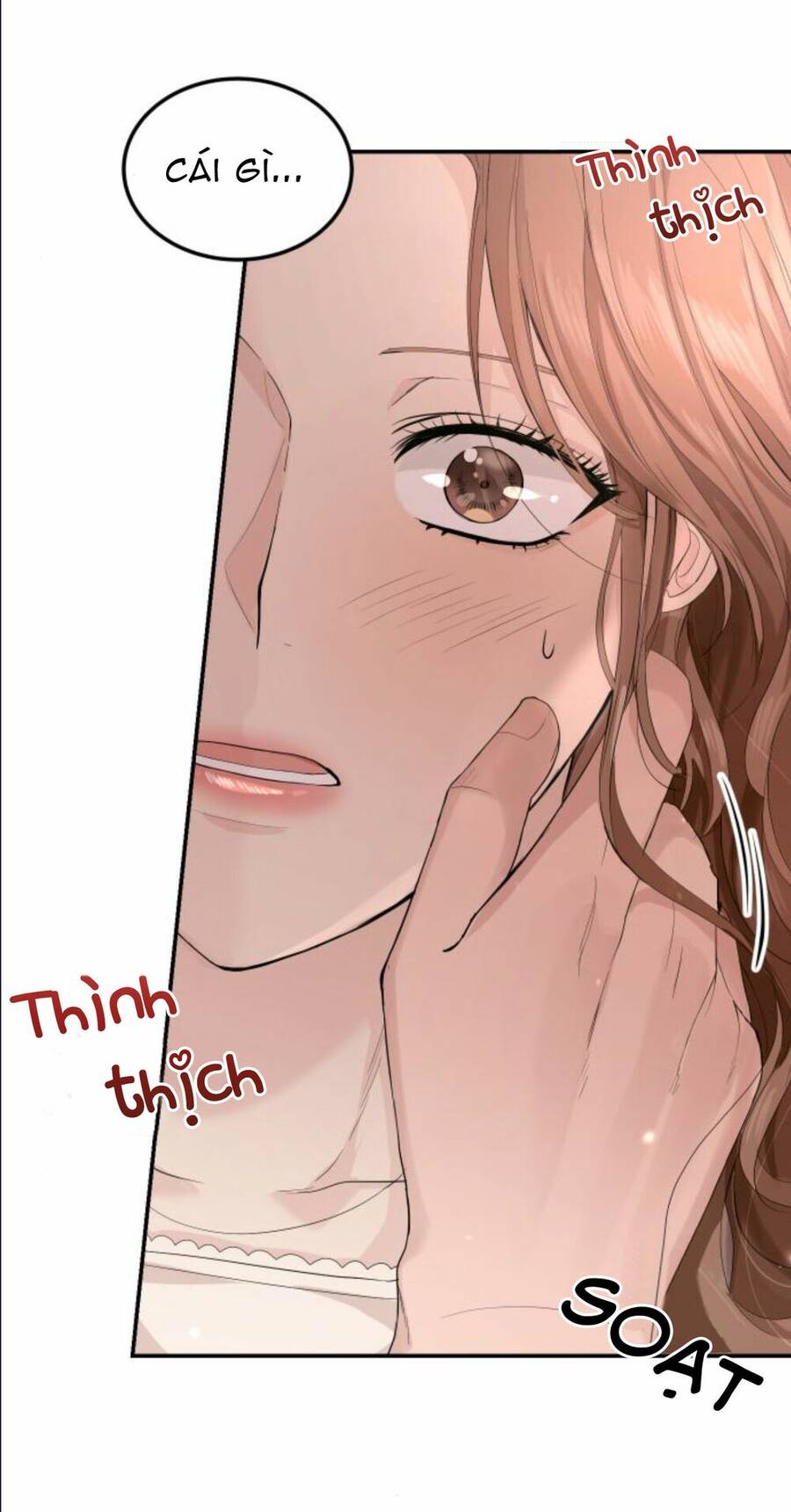 Cuộc Hôn Nhân Hoàn Hảo Chap 12.2 - Next Chap 13.2