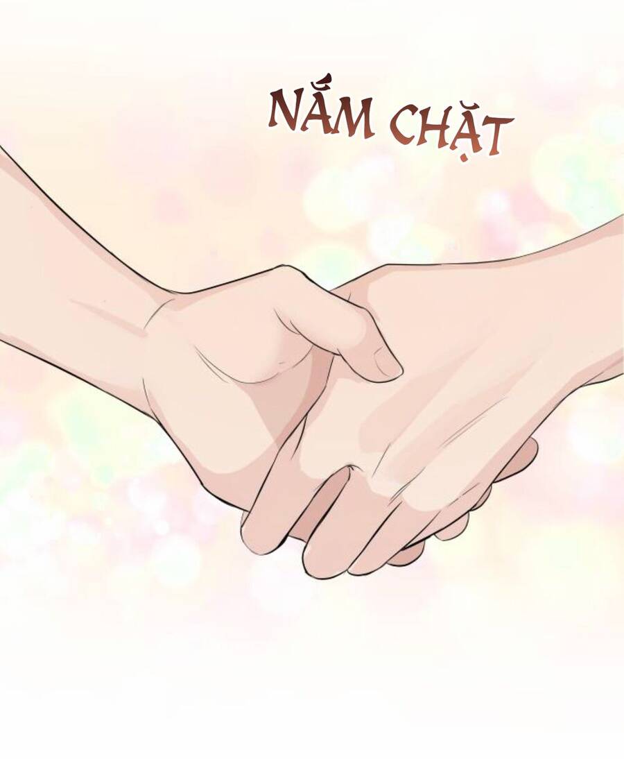 Cuộc Hôn Nhân Hoàn Hảo Chap 27 - Next Chap 28