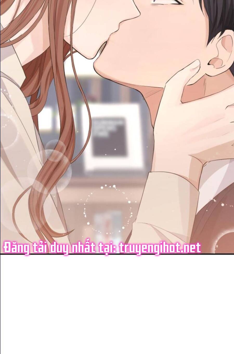 Cuộc Hôn Nhân Hoàn Hảo Chap 3 - Next Chap 4