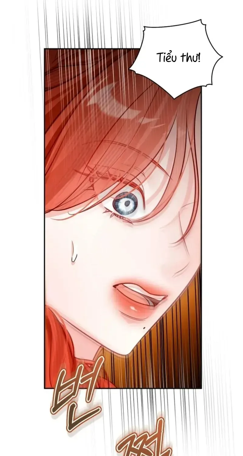 Cuộc Hôn Nhân Xa Hoa Của Đại Công Tước Là Giả Chap 103 - Next Chap 104