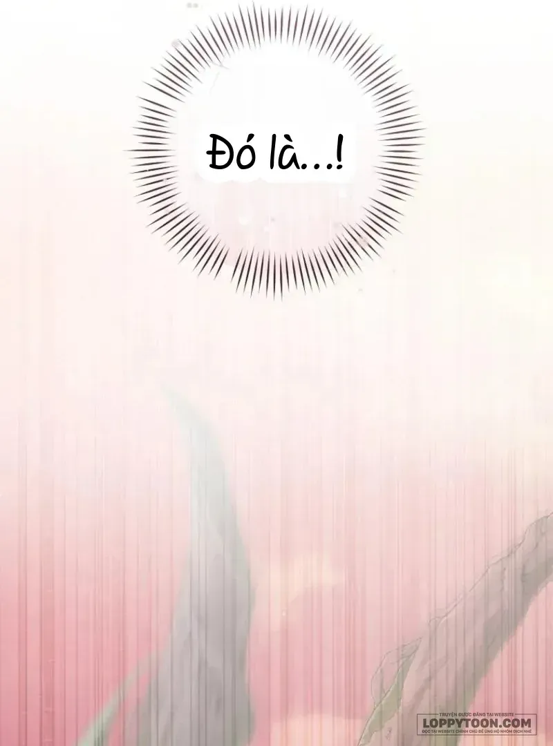 Cuộc Hôn Nhân Xa Hoa Của Đại Công Tước Là Giả Chap 104 - Next Chap 105