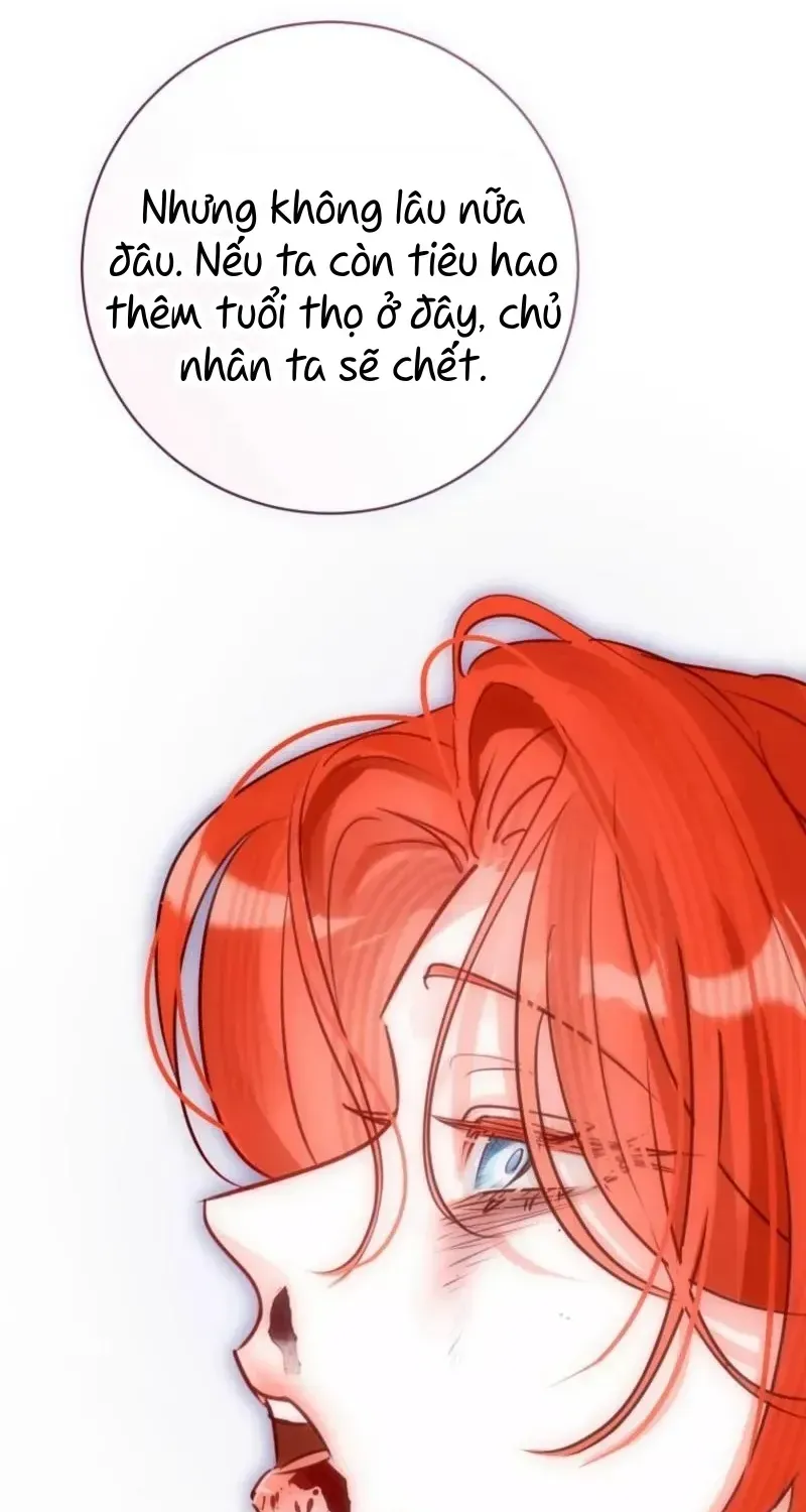 Cuộc Hôn Nhân Xa Hoa Của Đại Công Tước Là Giả Chap 105 - Next Chap 106