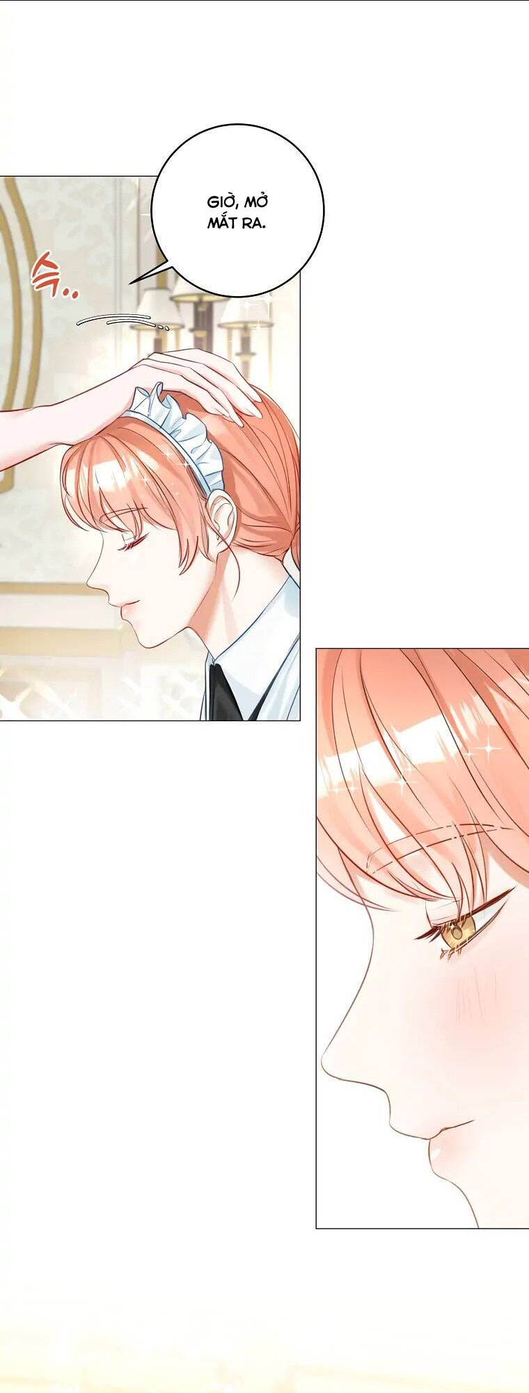 Cuộc Hôn Nhân Xa Hoa Của Đại Công Tước Là Giả Chap 14 - Next Chap 15