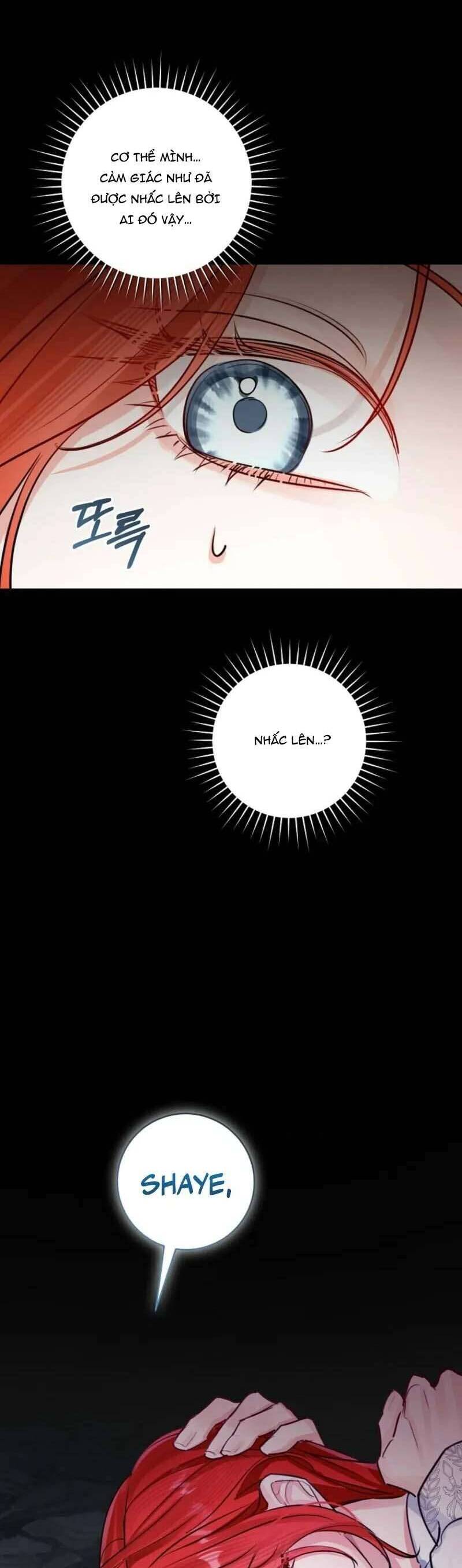 Cuộc Hôn Nhân Xa Hoa Của Đại Công Tước Là Giả Chap 87 - Next Chap 88