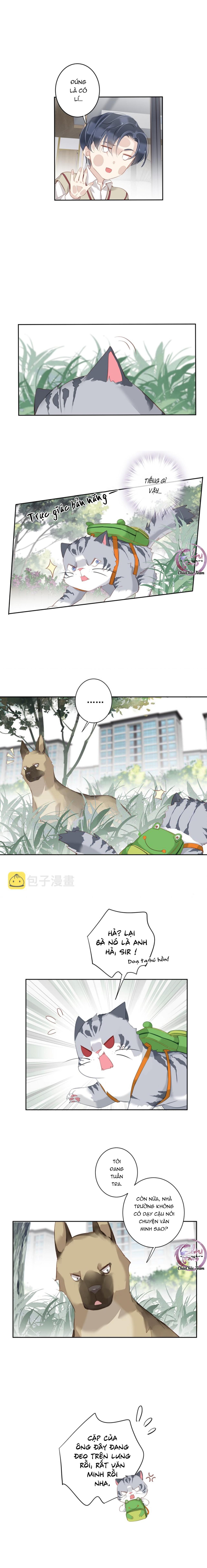 Cuộc Mai Mối Vượt Giống Loài Chap 49 - Next Chap 50