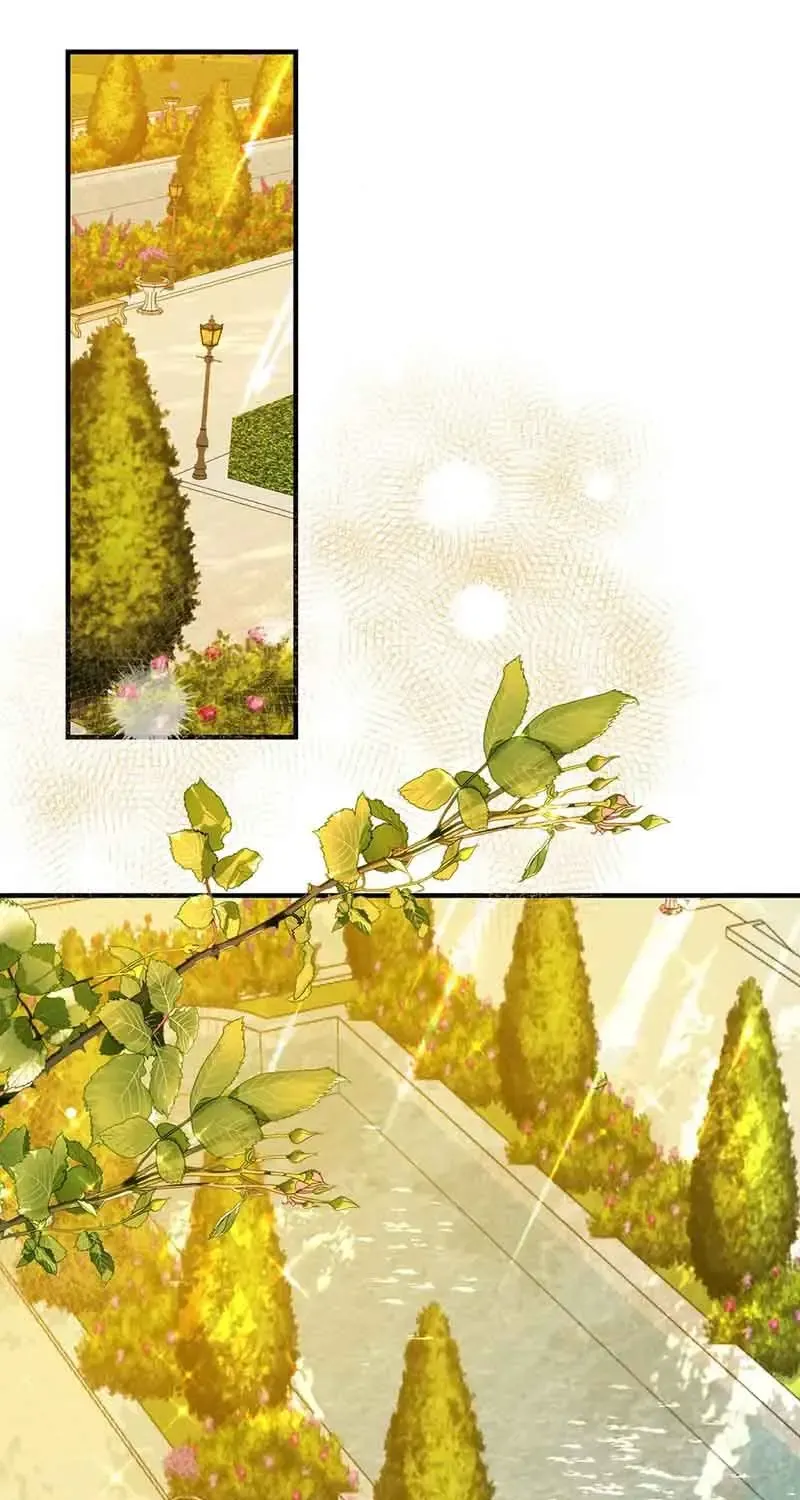 Cuộc Nổi Loạn Tao Nhã Của Nữ Công Tước Mecklen Chap 4 - Next Chap 5