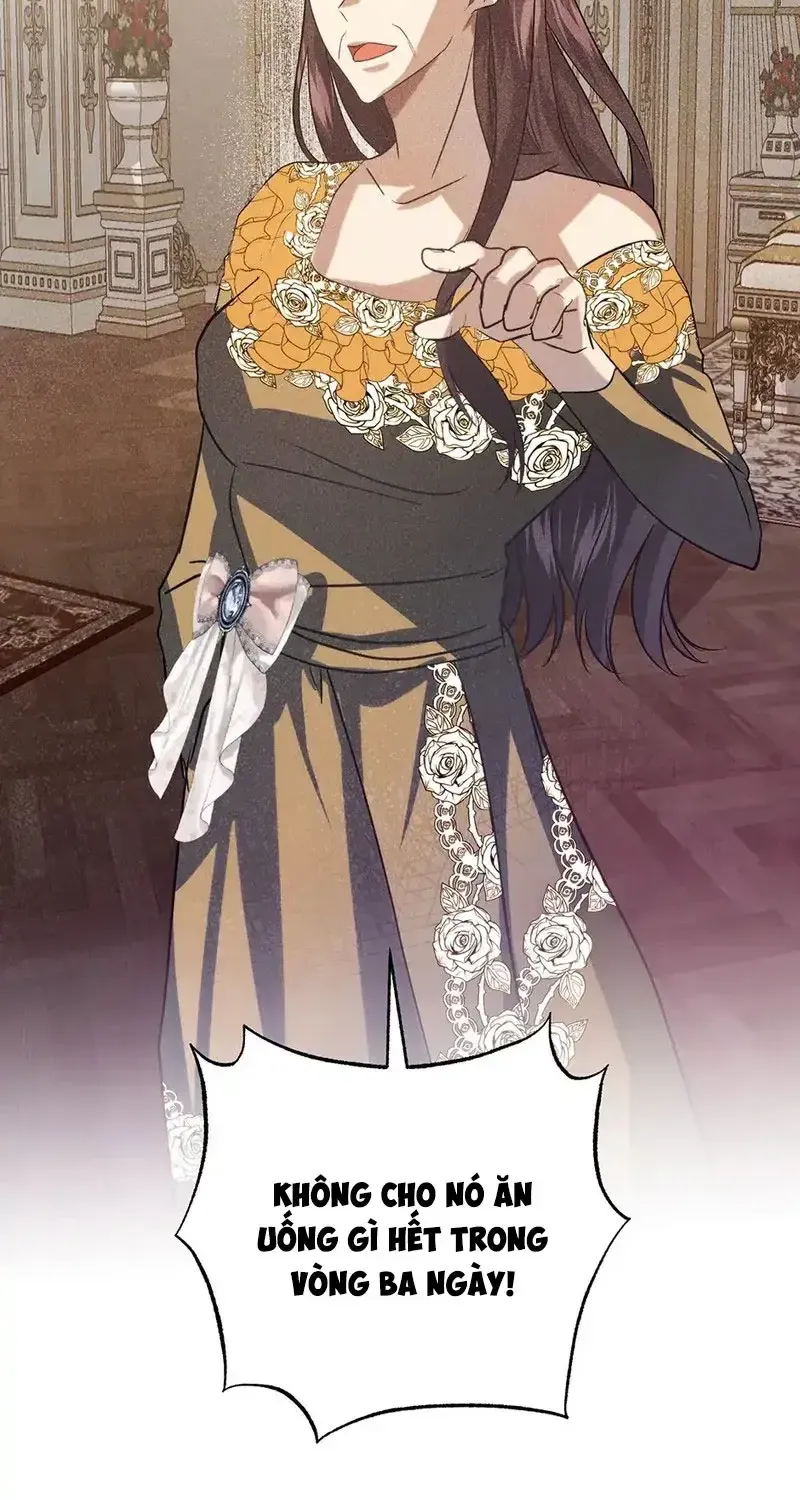 Cuộc Nổi Loạn Tao Nhã Của Nữ Công Tước Mecklen Chap 6 - Next Chap 7