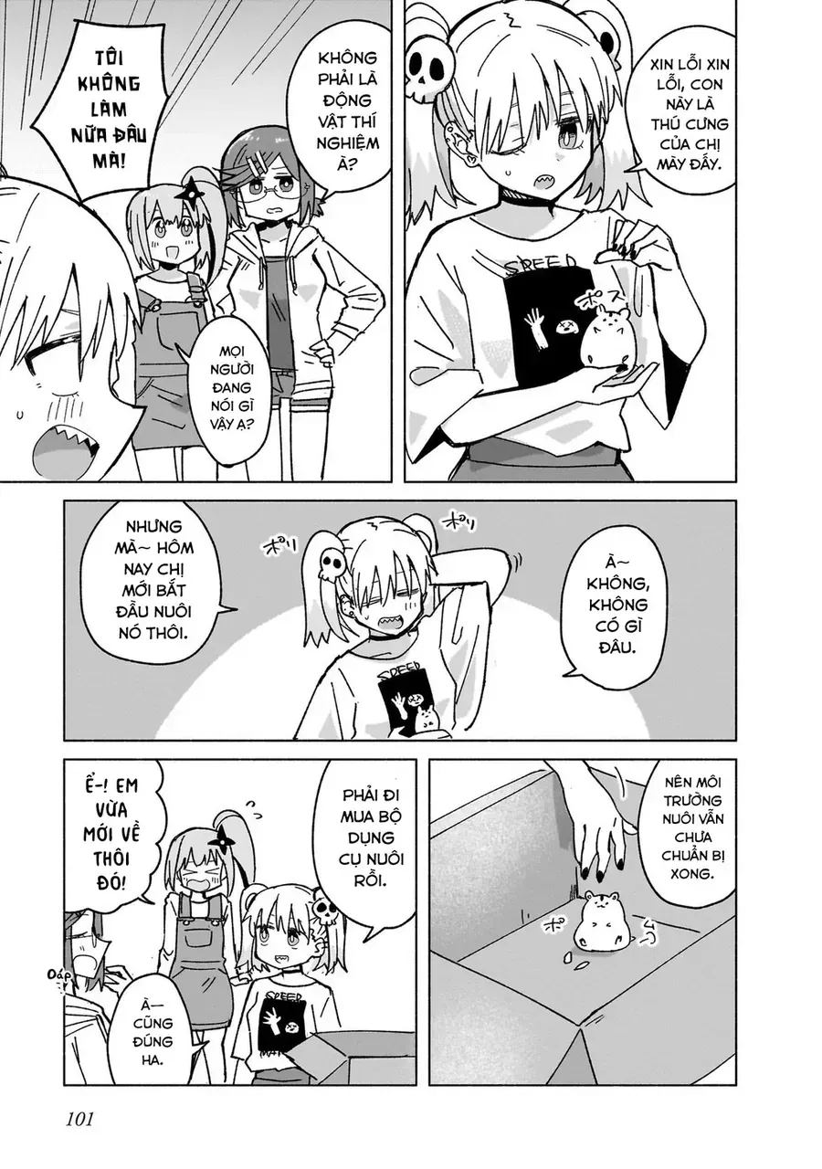 Cuộc Sống Chung Nhà Của Ninja Và Sát Thủ Chap 39 - Next Chap 40