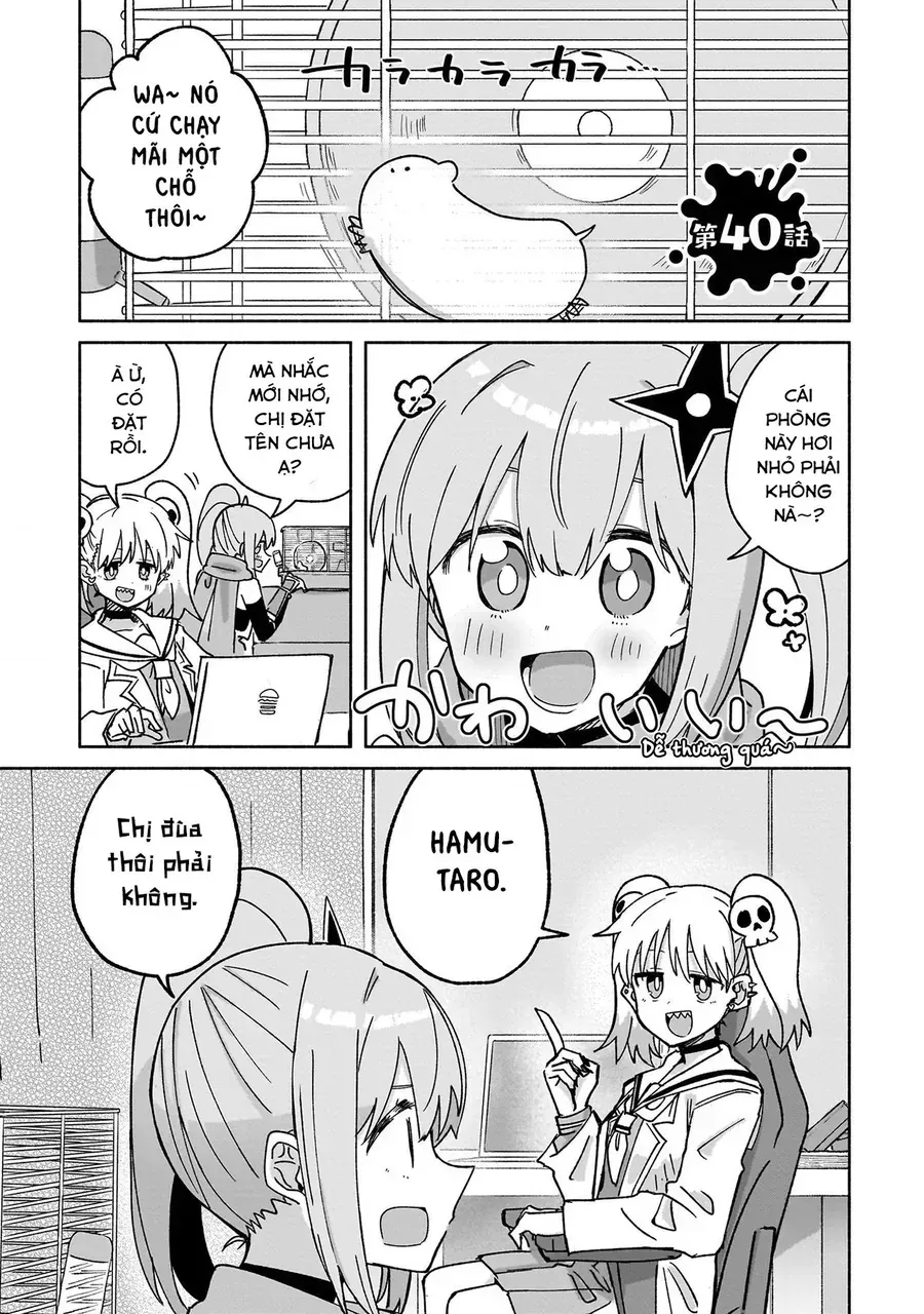 Cuộc Sống Chung Nhà Của Ninja Và Sát Thủ Chap 40 - Next Chap 41