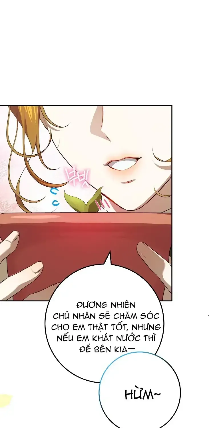 Cuộc Sống Yên Bình Của Cô Hầu Gái Che Giấu Sức Mạnh Chap 10 - Next Chap 11