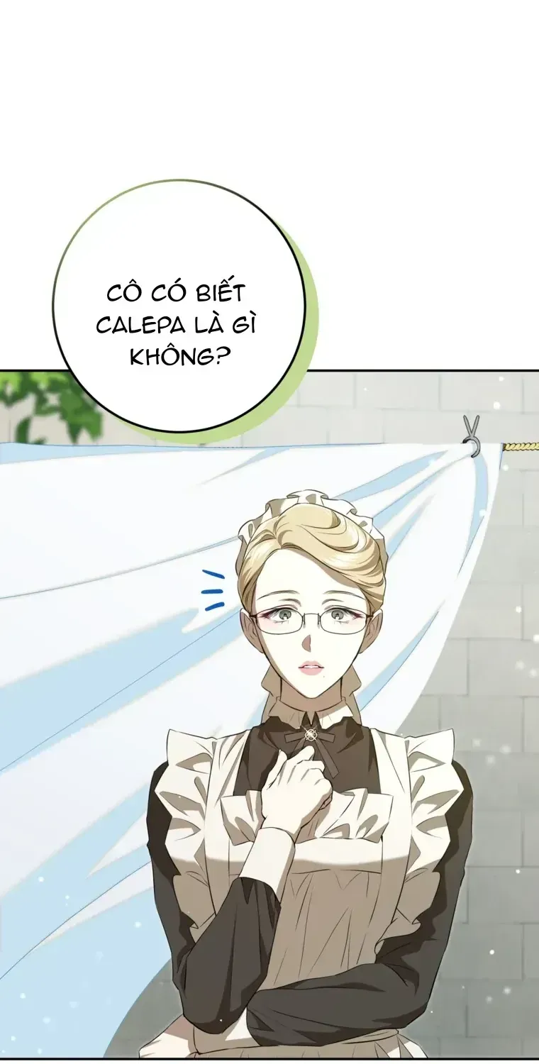 Cuộc Sống Yên Bình Của Cô Hầu Gái Che Giấu Sức Mạnh Chap 28 - Next Chap 29