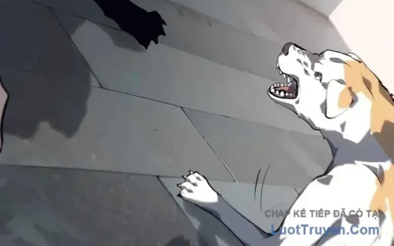 Cuồng Khuyển Chap 2 - Next Chap 3