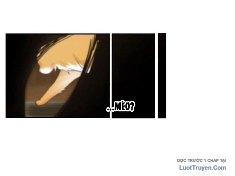 Cựu Nhật Chi Triện Chap 11 - Next Chap 12