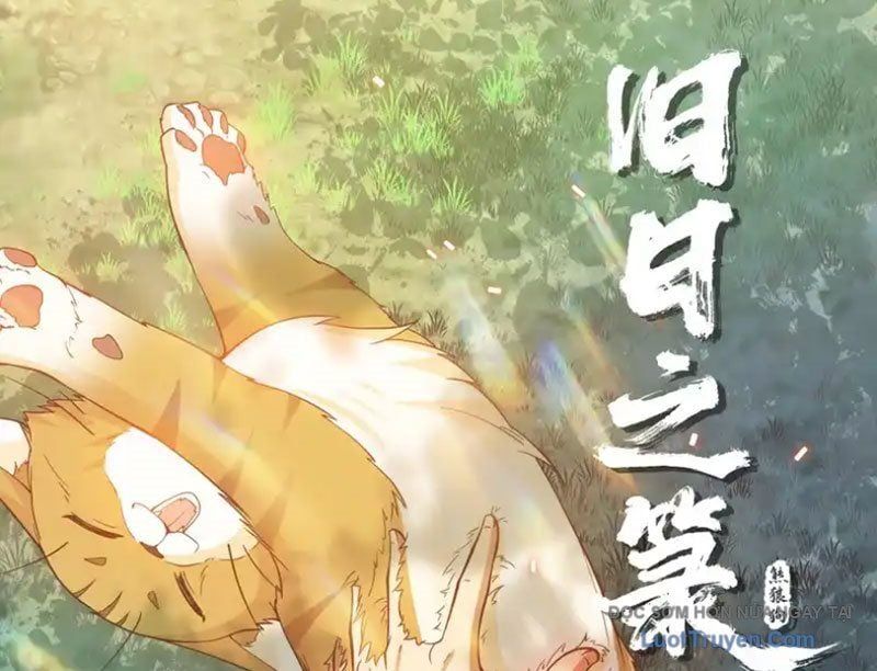 Cựu Nhật Chi Triện Chap 20 - Next Chap 21