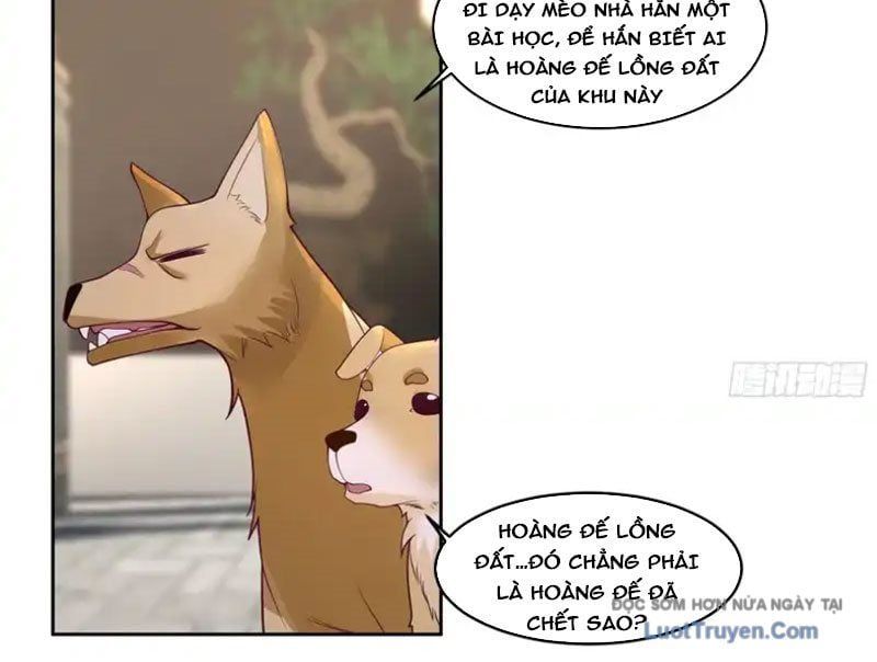 Cựu Nhật Chi Triện Chap 20 - Next Chap 21