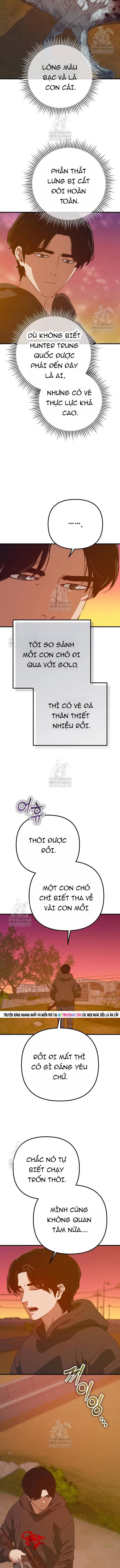 D-Day: Hầm Trú Ẩn Chap 81 - Next Chap 82