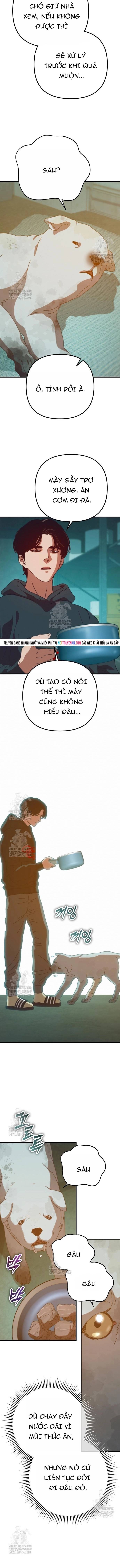 D-Day: Hầm Trú Ẩn Chap 81 - Next Chap 82