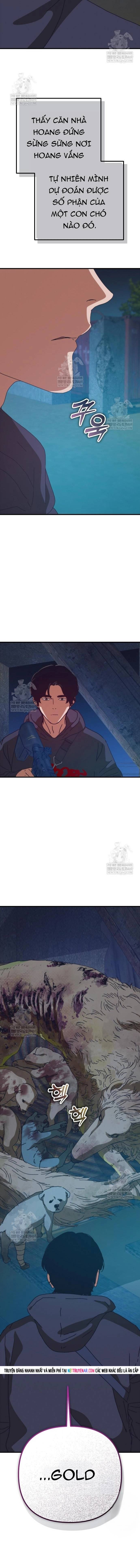 D-Day: Hầm Trú Ẩn Chap 81 - Next Chap 82