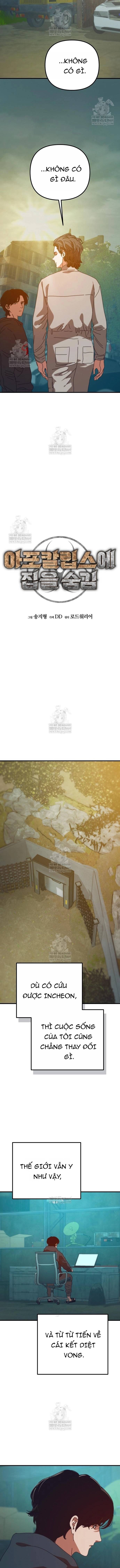 D-Day: Hầm Trú Ẩn Chap 81 - Next Chap 82