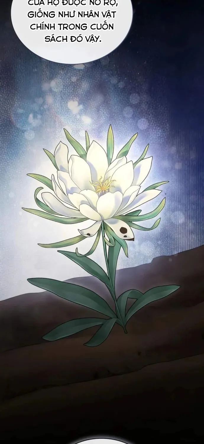 Đa Sắc Ma Pháp Sư Thiên Tài Chap 70 - Next Chap 71