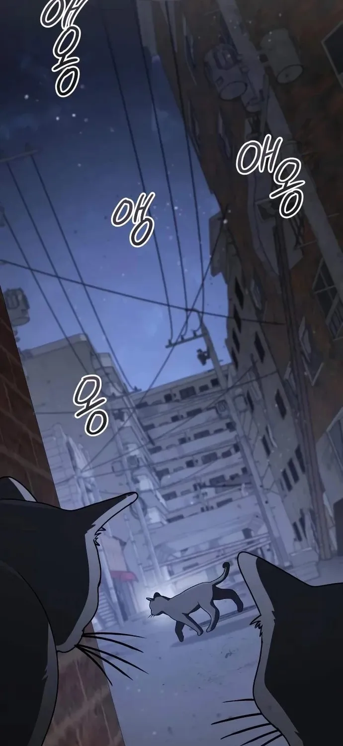 Đa Sắc Ma Pháp Sư Thiên Tài Chap 73 - Next Chap 74