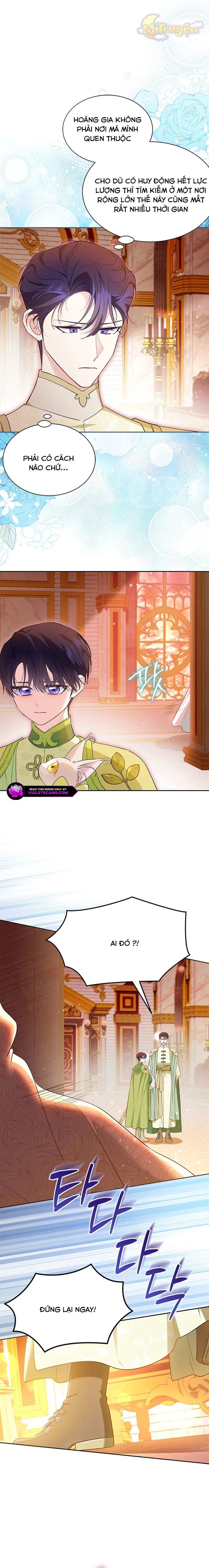 Đã Từ Chối Sủng Ái Rồi Mà Sao Còn Ám Ảnh Thế Chap 48 - Next Chap 49