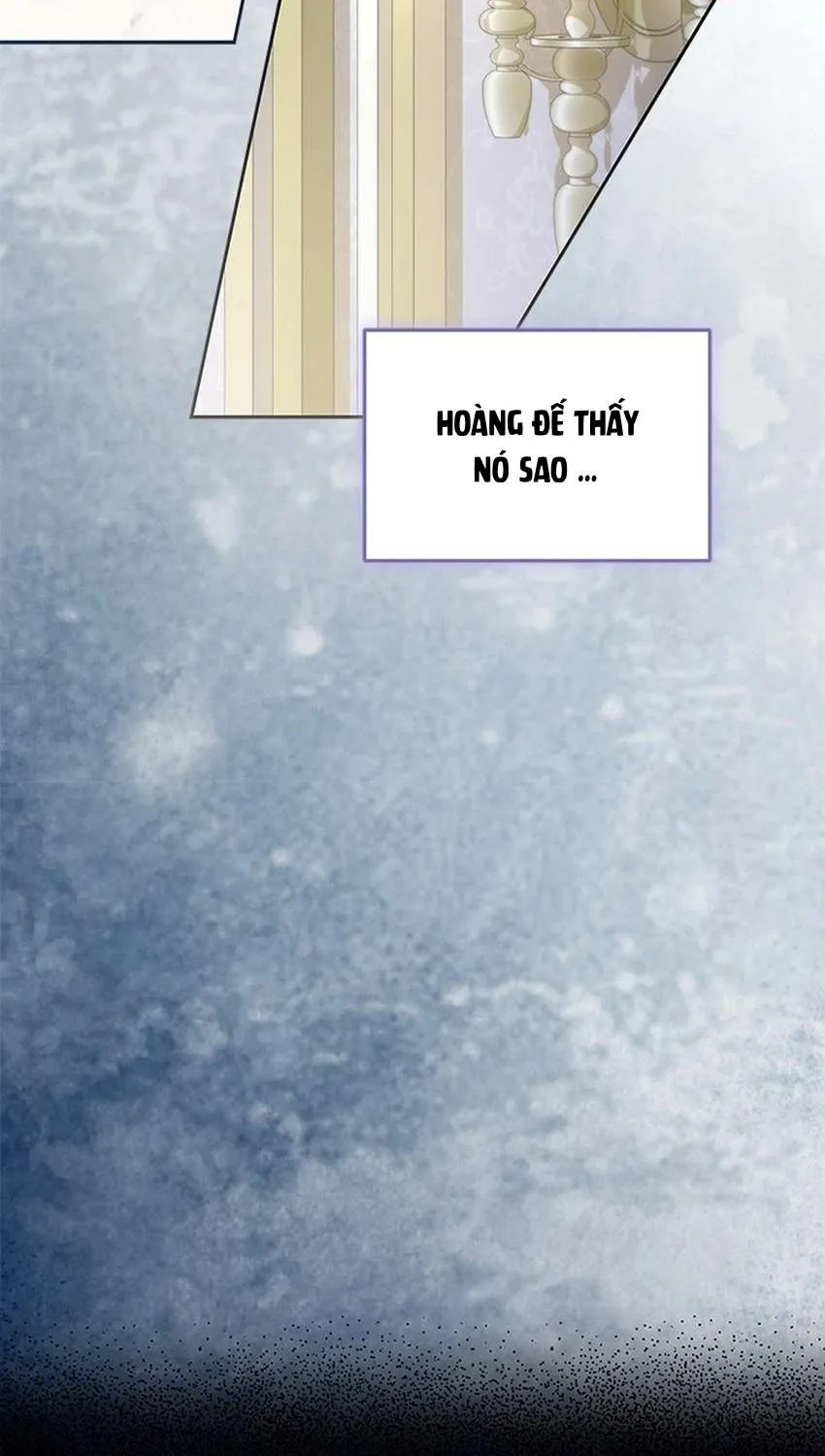 Đã Từ Chối Sủng Ái Rồi Mà Sao Còn Ám Ảnh Thế Chap 78 - Next Chap 79