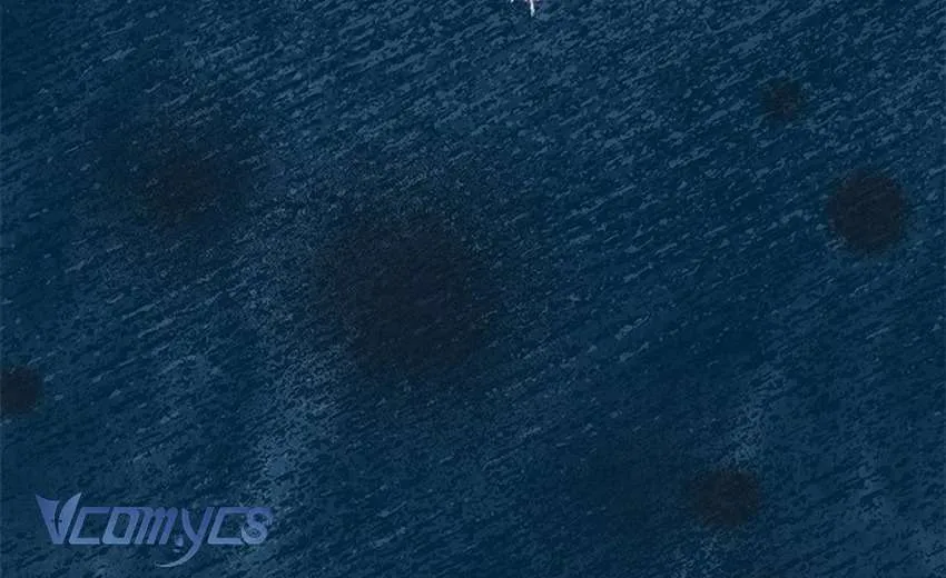 Đã Từ Chối Sủng Ái Rồi Mà Sao Còn Ám Ảnh Thế Chap 78 - Next Chap 79