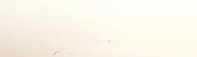 Đại Đao Ngạo - Bất Trạch Cầu Sinh Chap 13 - Next Chap 14