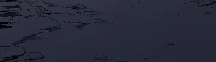 Đại Đao Ngạo - Bất Trạch Cầu Sinh Chap 14 - Next Chap 15