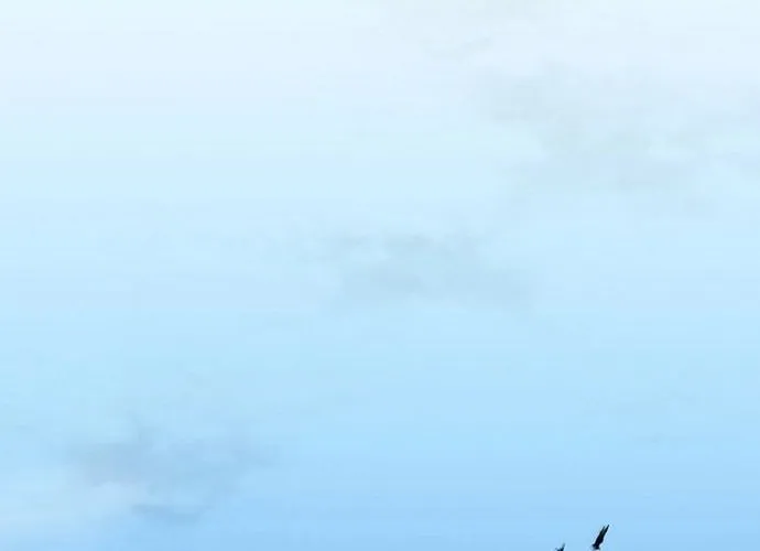 Đại Đao Ngạo - Bất Trạch Cầu Sinh Chap 19 - Next Chap 20