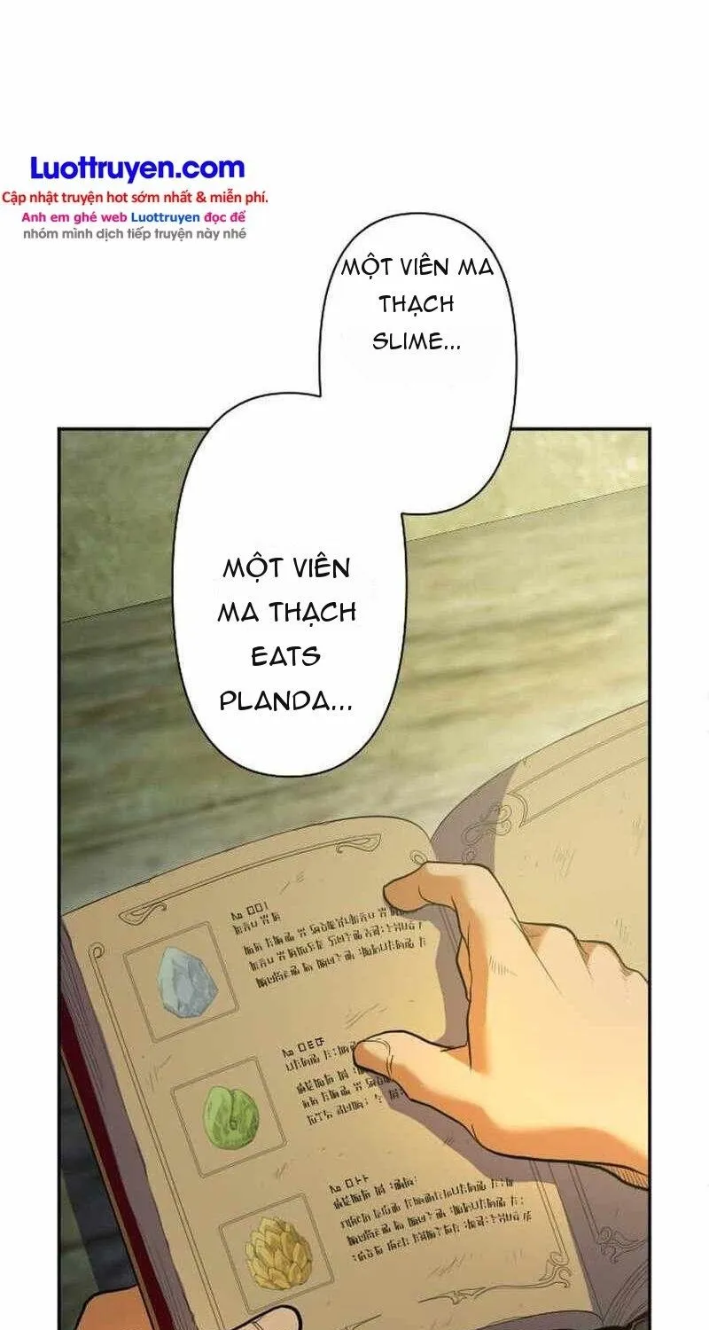 Đại Hiền Giả Sở Hữu Trăm Ma Thạch Chap 10 - Next Chap 11