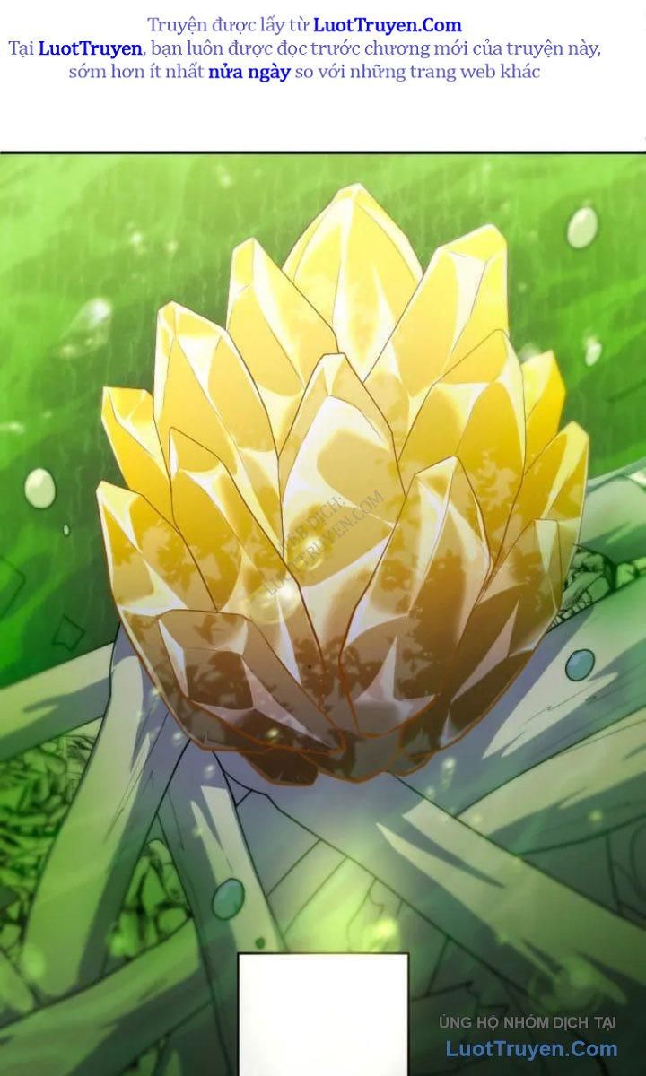 Đại Hiền Giả Sở Hữu Trăm Ma Thạch Chap 8 - Next Chap 9