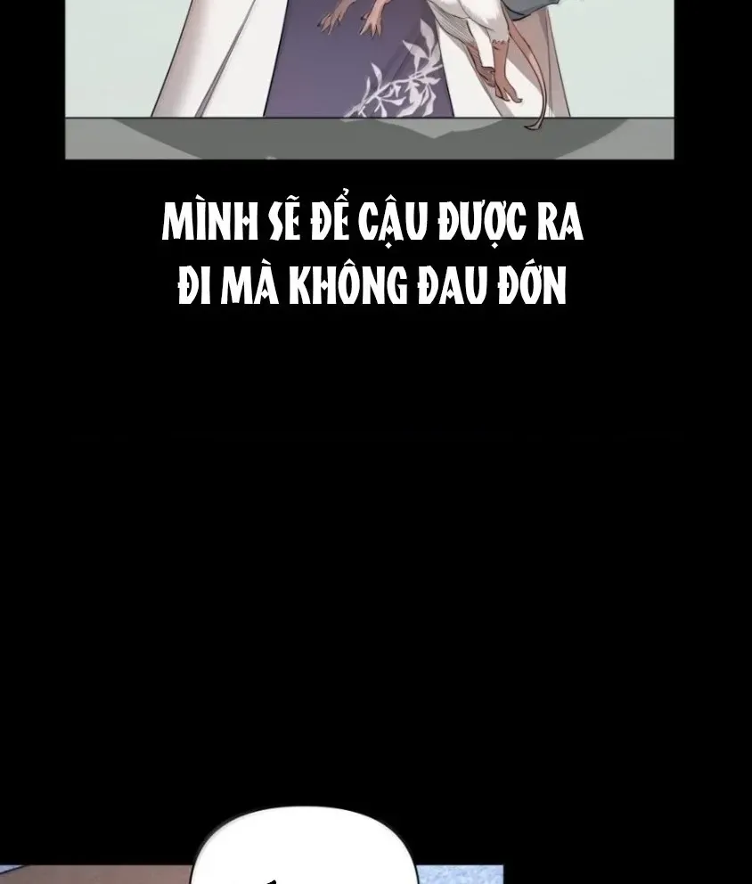 Đại Lão, Đầu Cô Lại Rớt Rồi Kìa! Chap 48 - Next Chap 49