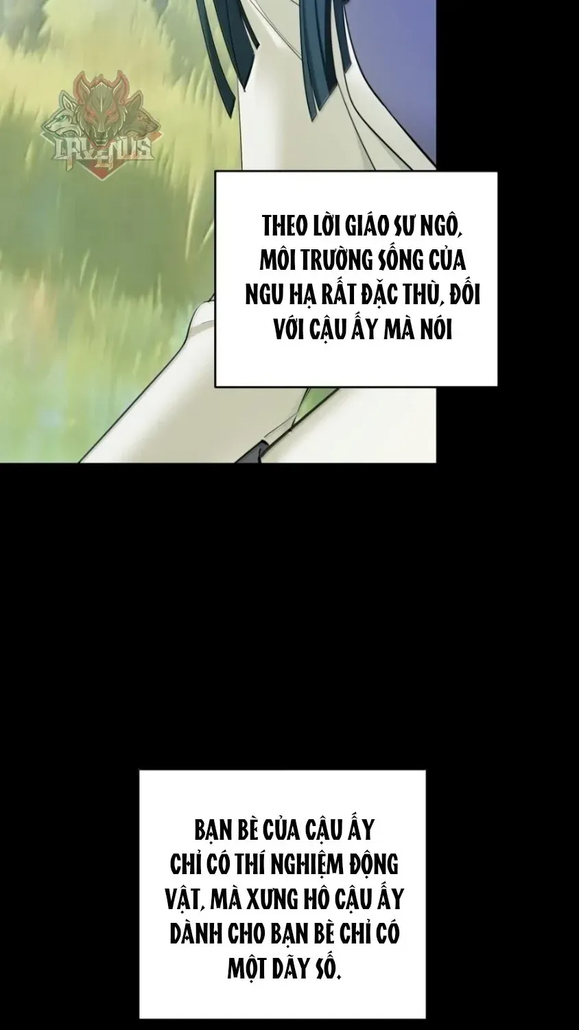 Đại Lão, Đầu Cô Lại Rớt Rồi Kìa! Chap 48 - Next Chap 49
