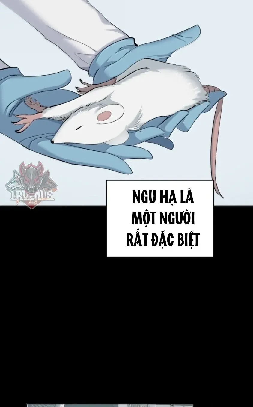 Đại Lão, Đầu Cô Lại Rớt Rồi Kìa! Chap 48 - Next Chap 49