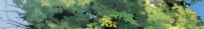 Đại Ma Đạo Sư Hồi Quy Chap 182 - Next Chap 183