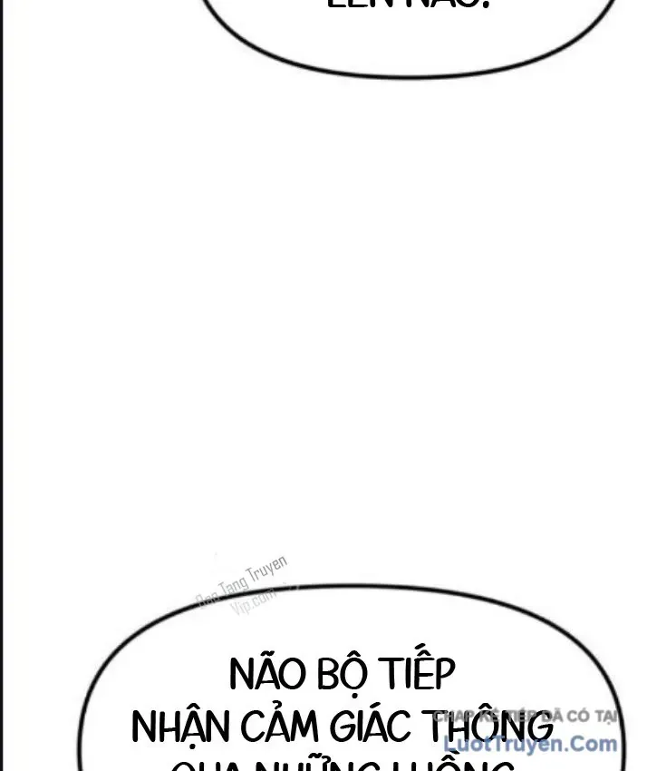 Đại Ma Pháp Sư Chăn Cừu Chap 15 - Next Chap 16