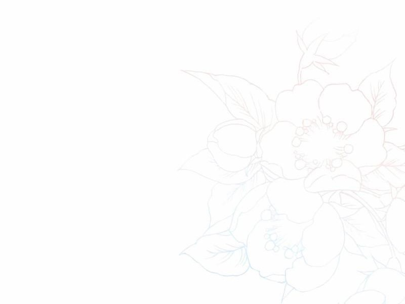 Đại Phản Diện Mà Nam Chính Phải Giết Là Tôi. Chap 16 - Next Chap 17