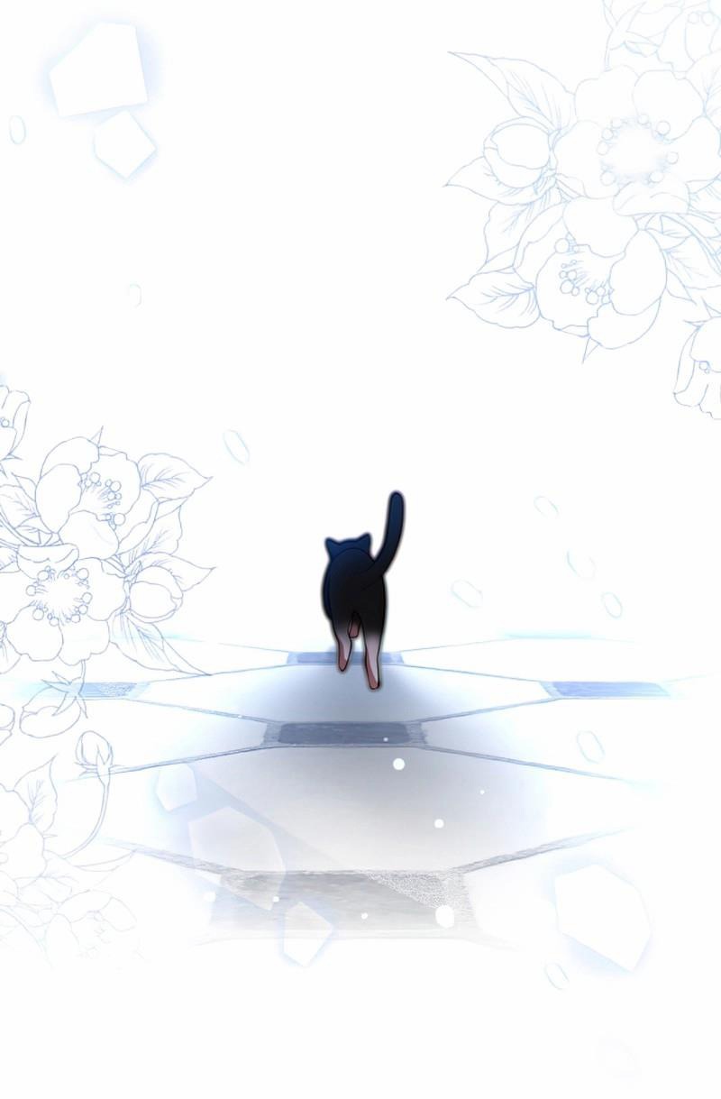 Đại Phản Diện Mà Nam Chính Phải Giết Là Tôi. Chap 16 - Next Chap 17