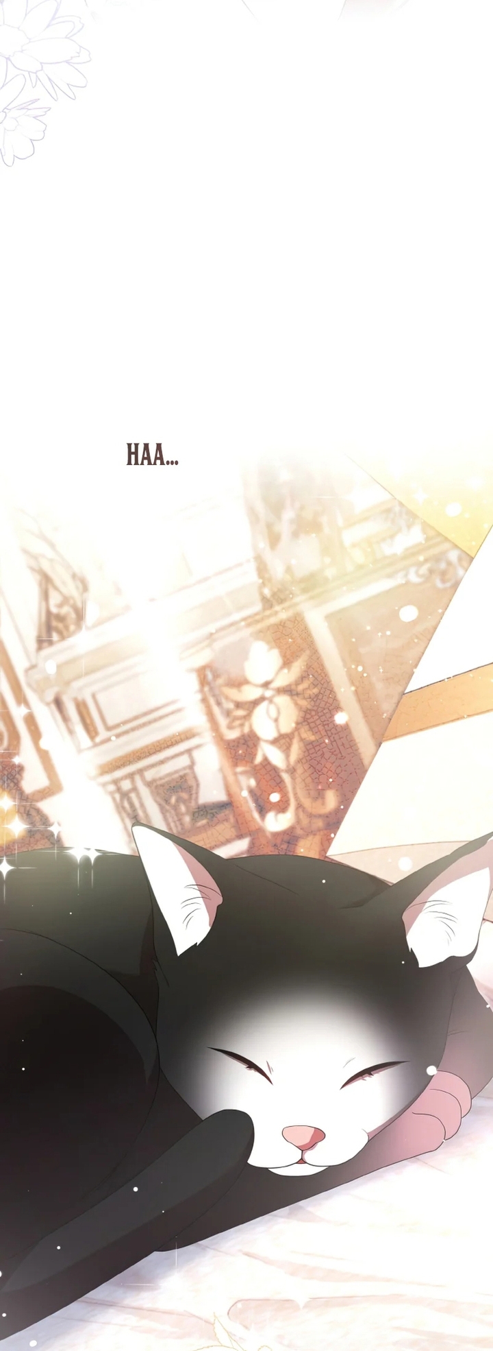 Đại Phản Diện Mà Nam Chính Phải Giết Là Tôi. Chap 17 - Next Chap 18