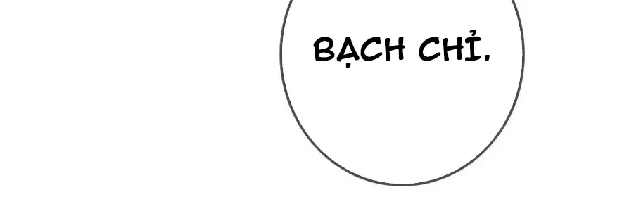 Đại tiểu thư tận thế của ta Chap 2 - Next Chap 3