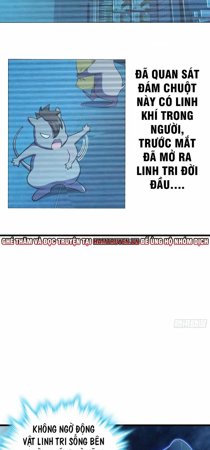 Đại Vương Tha Mạng Chap 204 - Next Chap 205