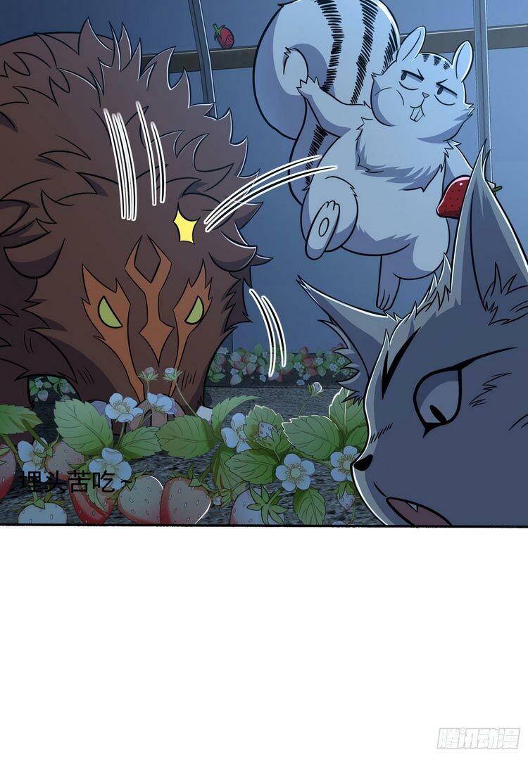 Đại Vương Tha Mạng Chap 256 - Next Chap 257