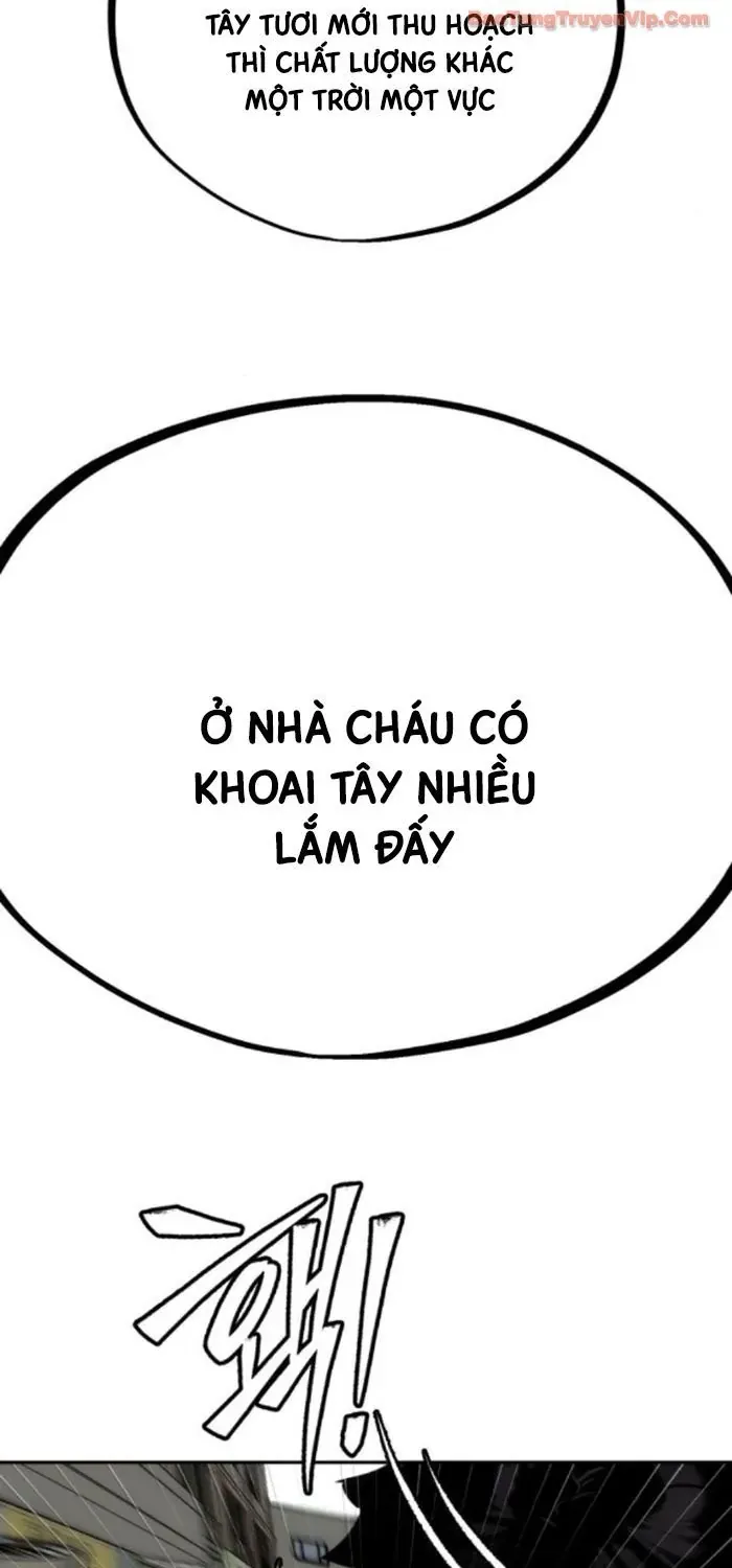 Dàn Harem Của Anh Bán Rong Chap 16 - Next Chap 17