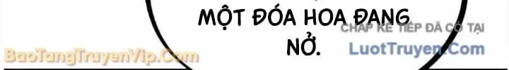 Dàn Harem Của Anh Bán Rong Chap 17 - Next Chap 18