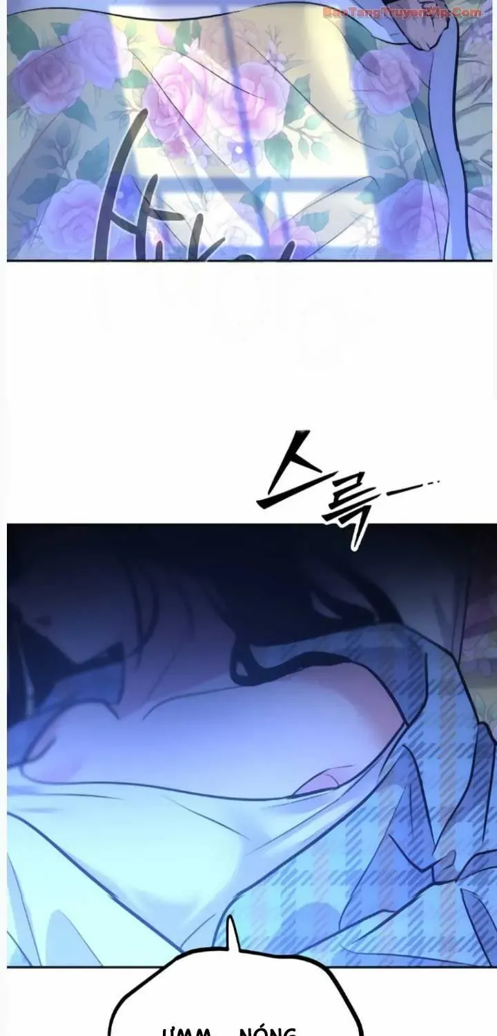 Dàn Harem Của Anh Bán Rong Chap 17 - Next Chap 18