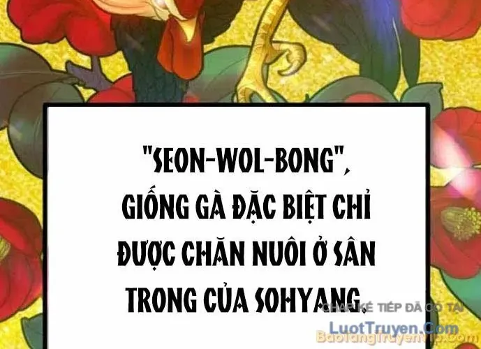 Dàn Harem Của Anh Bán Rong Chap 25 - Next Chap 26
