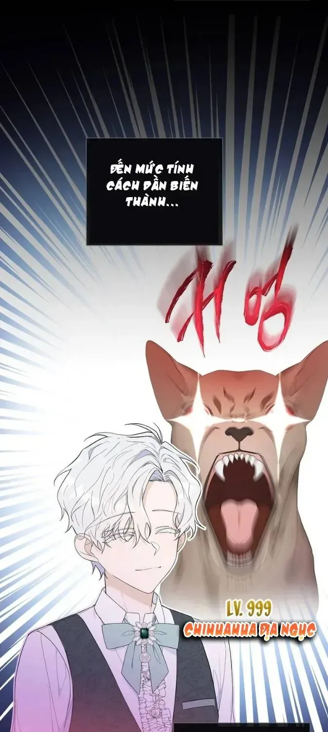 Dàn Nam Chính Bệnh Kiều Muốn Ăn Sạch Tôi Chap 2 - Next Chap 3