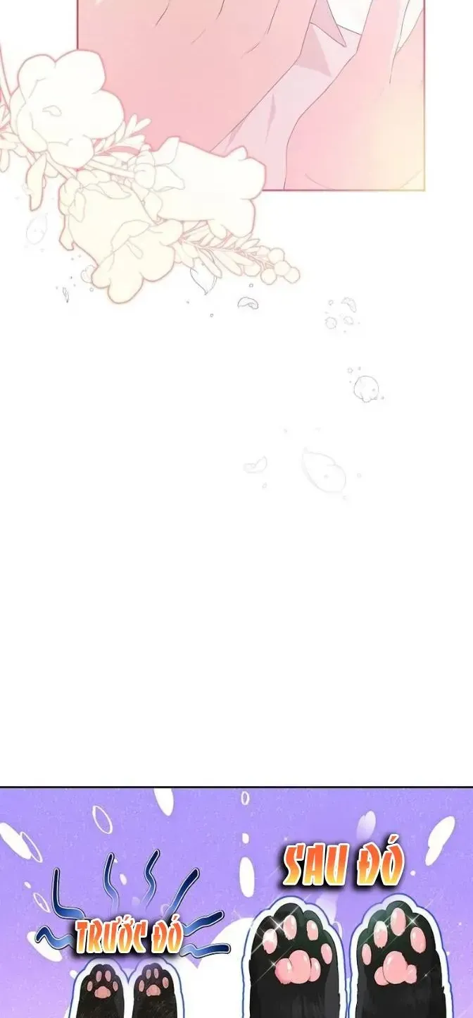 Dàn Nam Chính Bệnh Kiều Muốn Ăn Sạch Tôi Chap 6 - Next Chap 7